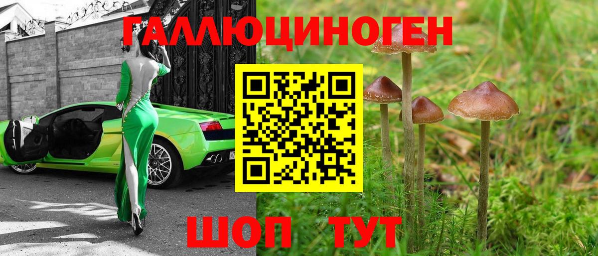 Псилоцибиновые грибы мухоморы Новотроицк